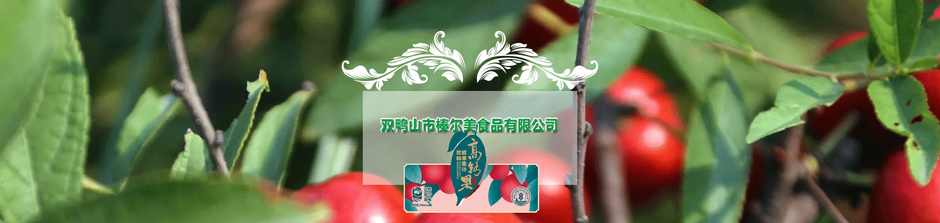 資質(zhì)證書